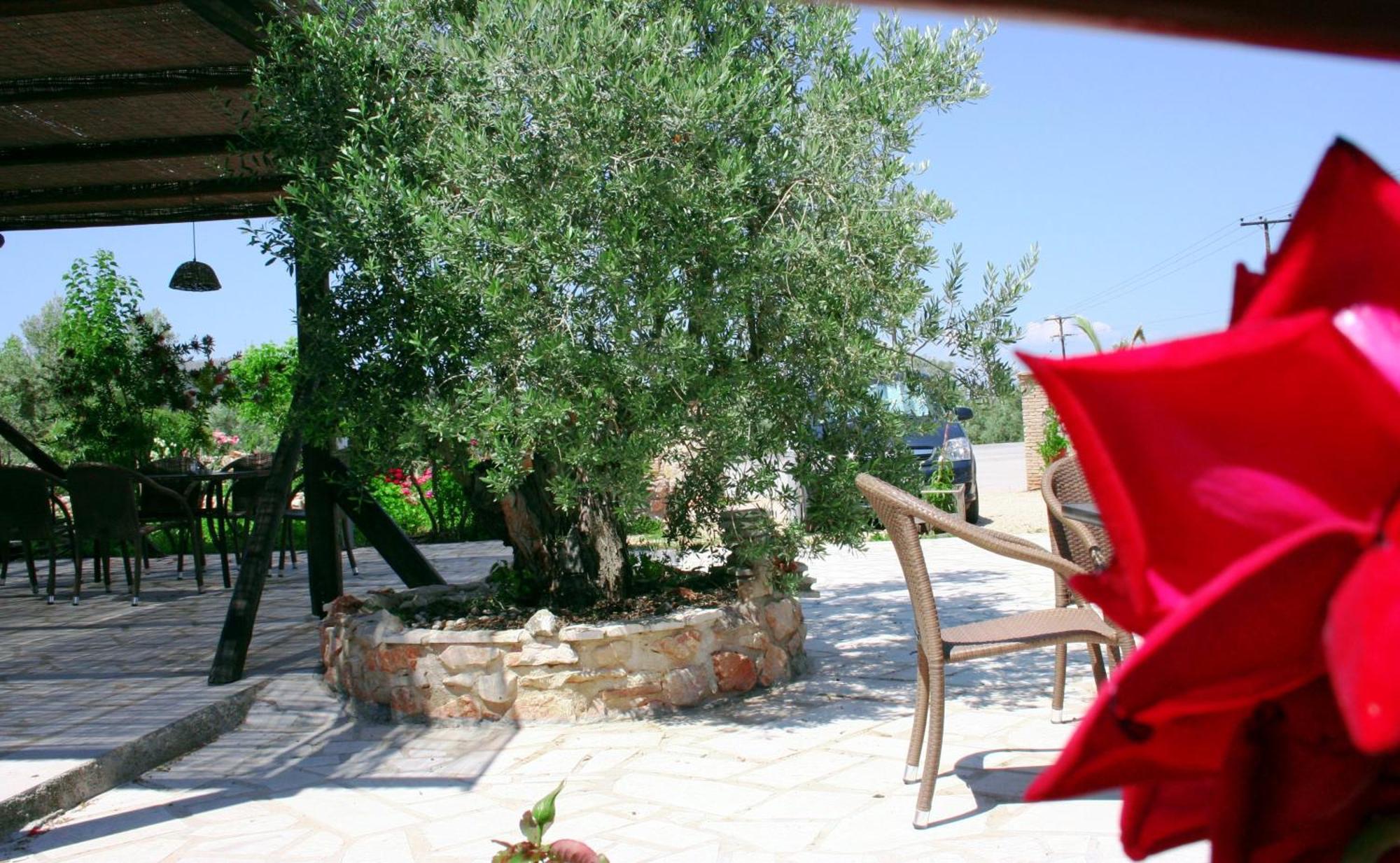 ליגוריו Hani Inn מראה חיצוני תמונה