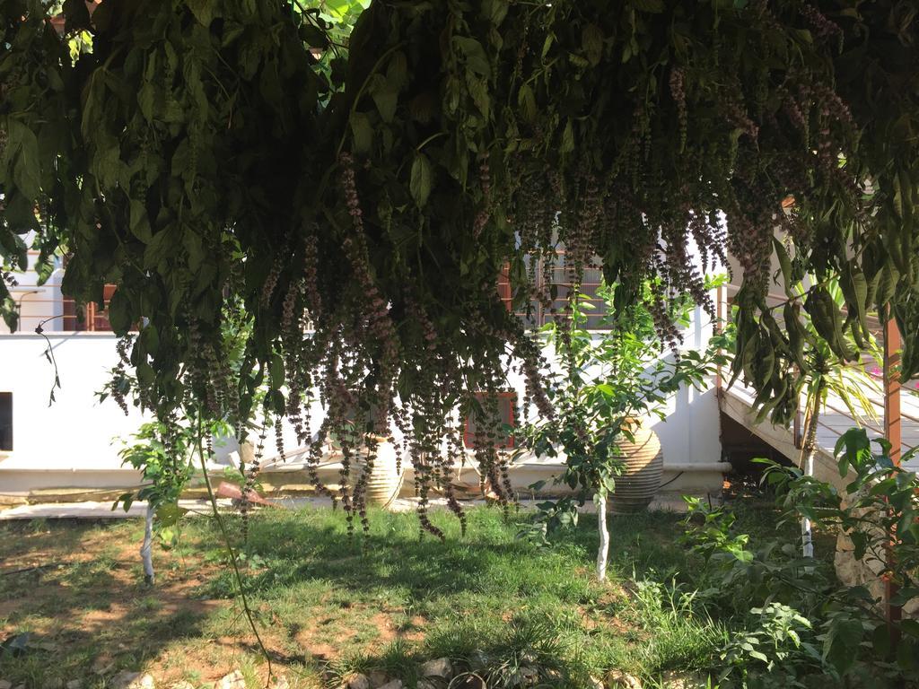 ליגוריו Hani Inn מראה חיצוני תמונה